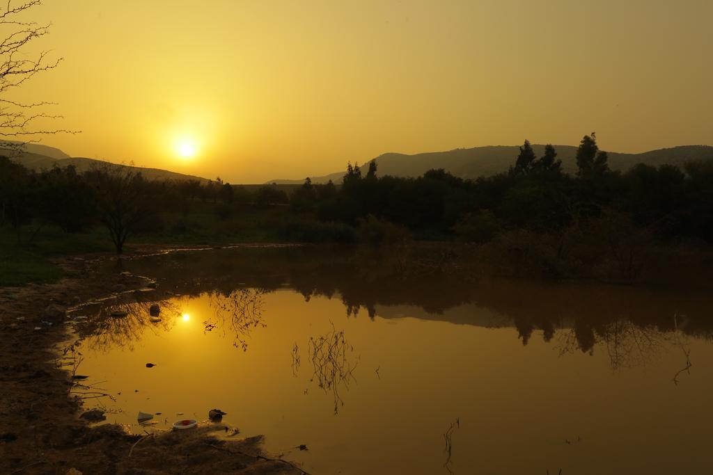 Sharhabil Bin Hasnah Ecopark Ξενοδοχείο Qulay'at Εξωτερικό φωτογραφία