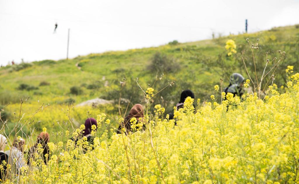 Sharhabil Bin Hasnah Ecopark Ξενοδοχείο Qulay'at Εξωτερικό φωτογραφία