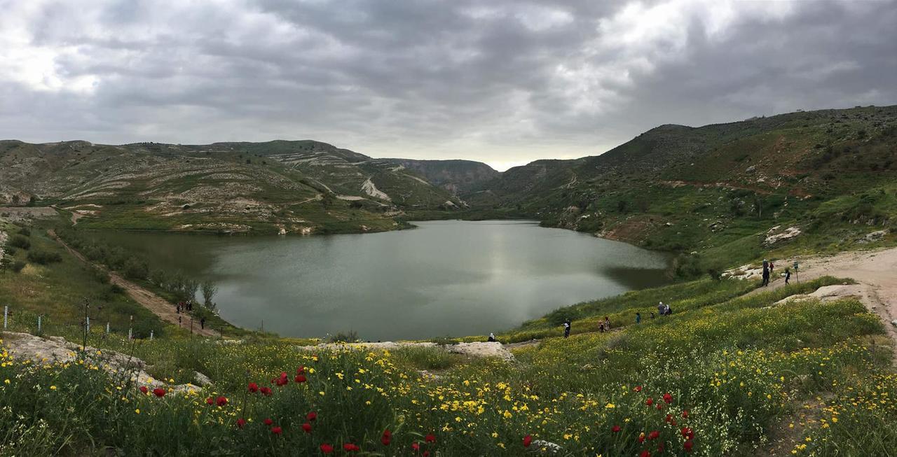 Sharhabil Bin Hasnah Ecopark Ξενοδοχείο Qulay'at Εξωτερικό φωτογραφία