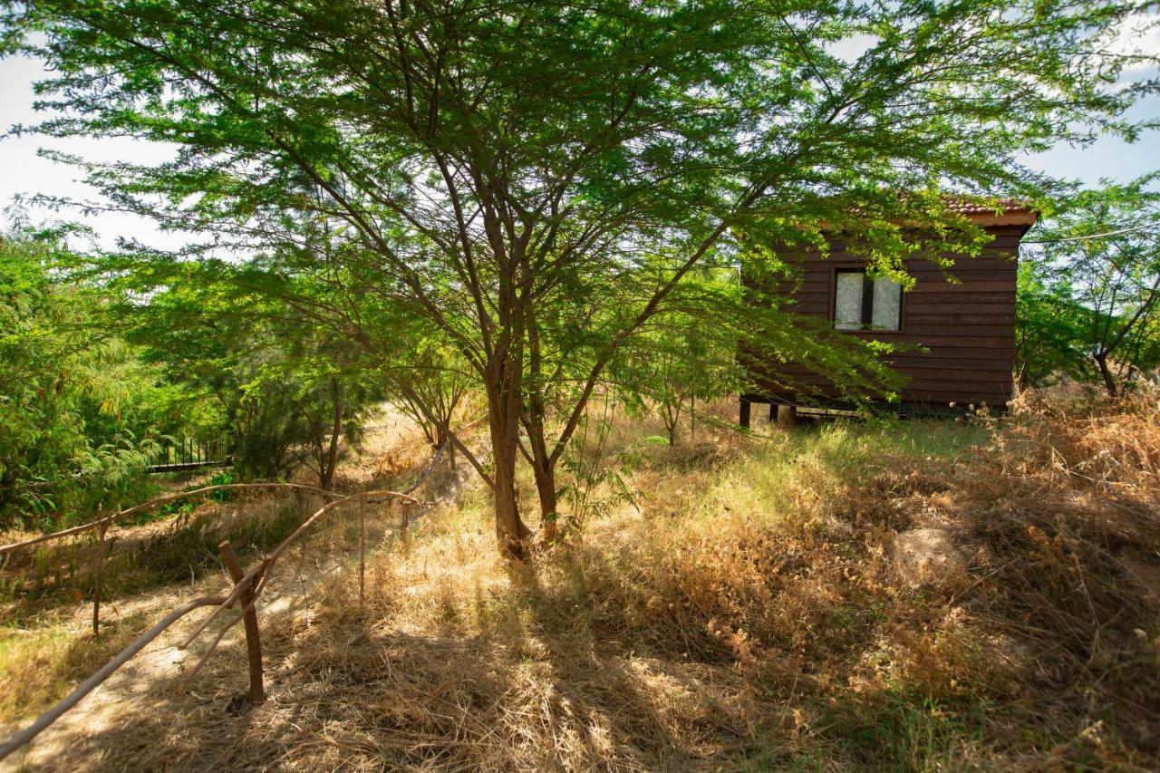 Sharhabil Bin Hasnah Ecopark Ξενοδοχείο Qulay'at Εξωτερικό φωτογραφία