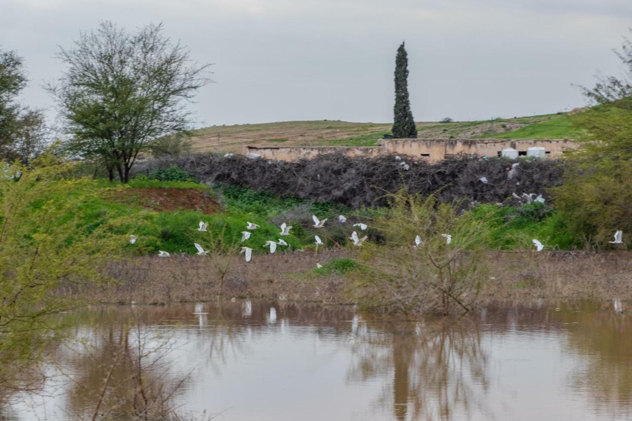 Sharhabil Bin Hasnah Ecopark Ξενοδοχείο Qulay'at Εξωτερικό φωτογραφία