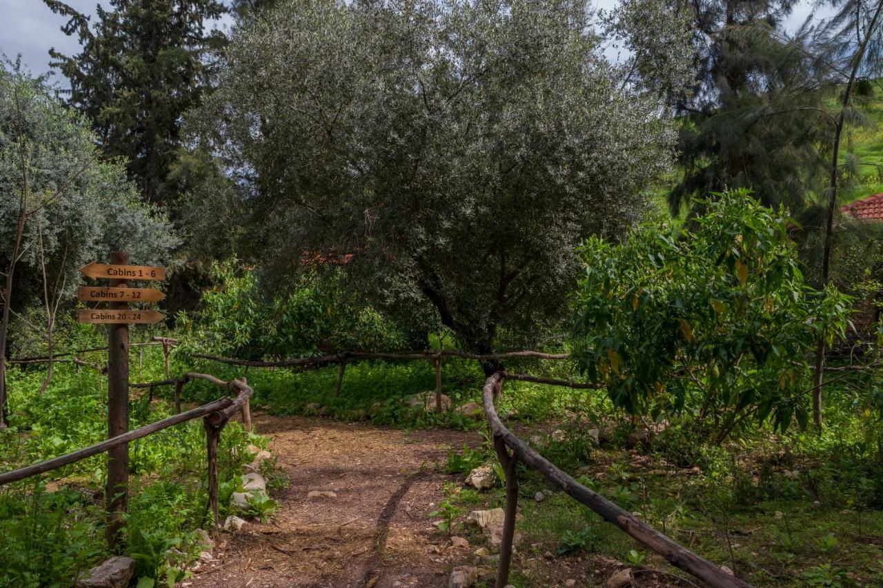 Sharhabil Bin Hasnah Ecopark Ξενοδοχείο Qulay'at Εξωτερικό φωτογραφία