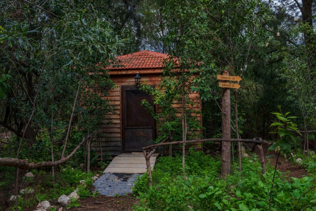 Sharhabil Bin Hasnah Ecopark Ξενοδοχείο Qulay'at Εξωτερικό φωτογραφία